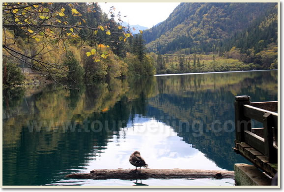 Jiuzhaigou Trip